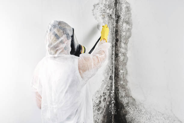 Best Commercial water damage restoration  in Roma, TX